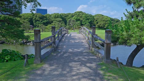 beautiful japanese traditional garden and pond with skyscrapers tokyo