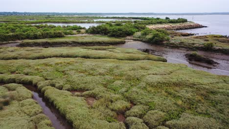 Pantanos-De-La-Reserva-Natural-Del-Dominio-De-Graveyron-En-La-Costa-Este-De-La-Bahía-De-Arcachon,-Francia,-Vista-Aérea-Del-Sobrevuelo