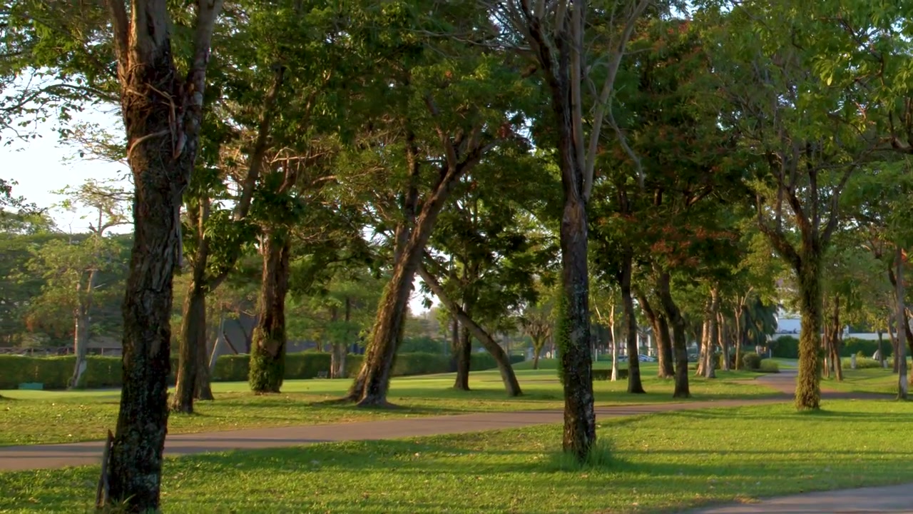 La cámara se desplaza por un parque verde con árboles tropicales, césped y un sendero curvo