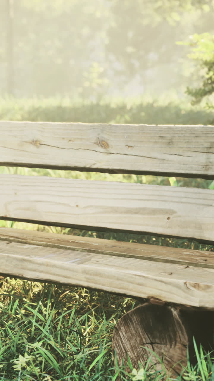 Natural wooden bench inviting relaxation in serene morning glow