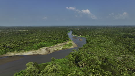 drone circling a river in middle of mangrove forest, in sunny barra san jose, mexico