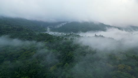 Aerial-View-Of-Foggy-Forest-In-The-Mountain