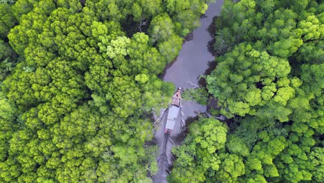 long-tail tour boat motors on quiet lush green mangrove river, thailand