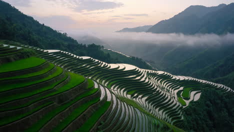stunning sunrise over rice terraces in asia