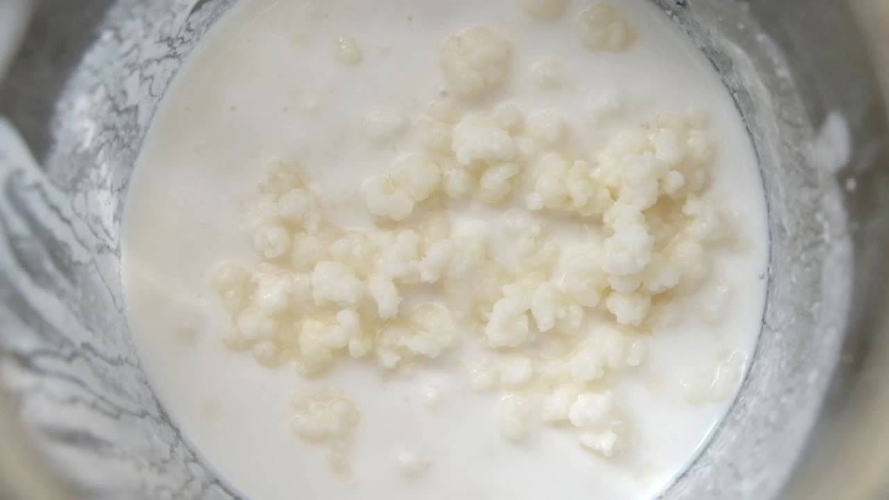 kéfir de leche en un frasco de vidrio con leche de vaca orgánica
