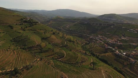 Berühmte-Bergweinberge.-Weinbaugebiet-Alto-Douro,-Portugal