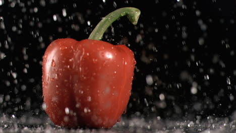 la lluvia cae sobre un pimienta en súper cámara lenta