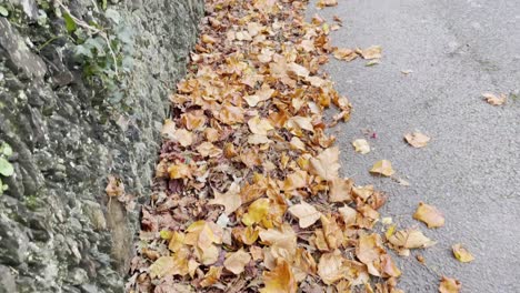 Laub-Neben-Einer-Grauen-Steinmauer