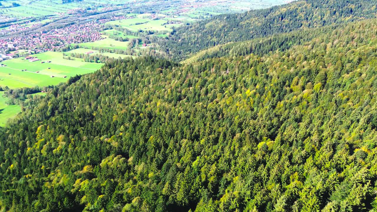 vuelo aéreo sobre un bosque verde en una ladera de la montaña, 4k