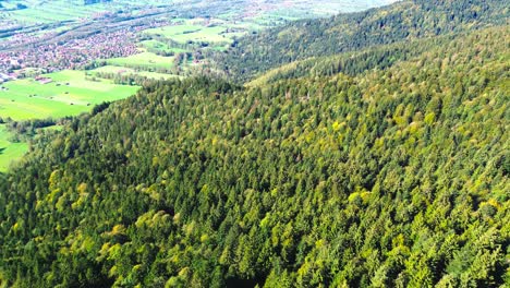 Vuelo-Aéreo-Sobre-Un-Bosque-Verde-En-La-Ladera-De-Una-Montaña,-4k