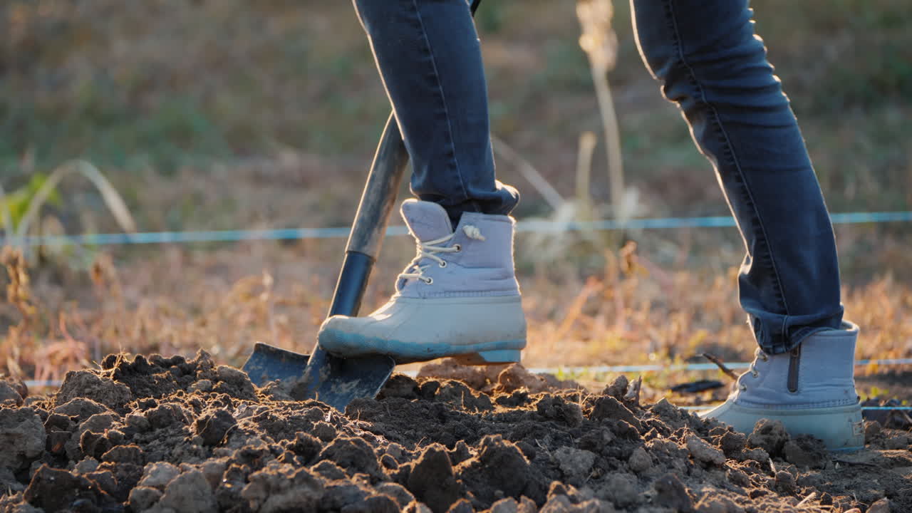 un hombre cava el suelo en su jardín preparando el suelo para plantar árboles