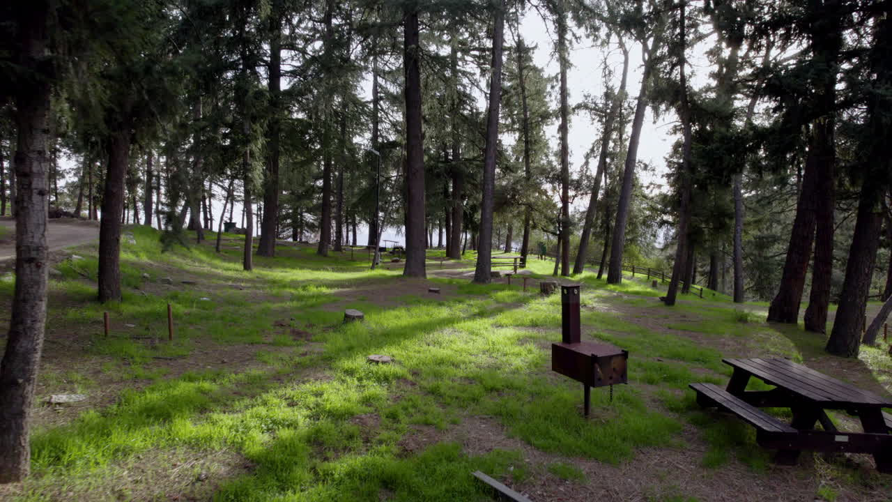 황금 시간에 울창한 숲에 있는 캠프장에서 영화 같은 드론 샷이 밀고 들어옵니다.