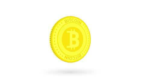 bitcoin btc cryptocurrency isolated gold coin on white and green screen loopable background. rotating golden metal looping abstract concept. 3d loop seamless animation.