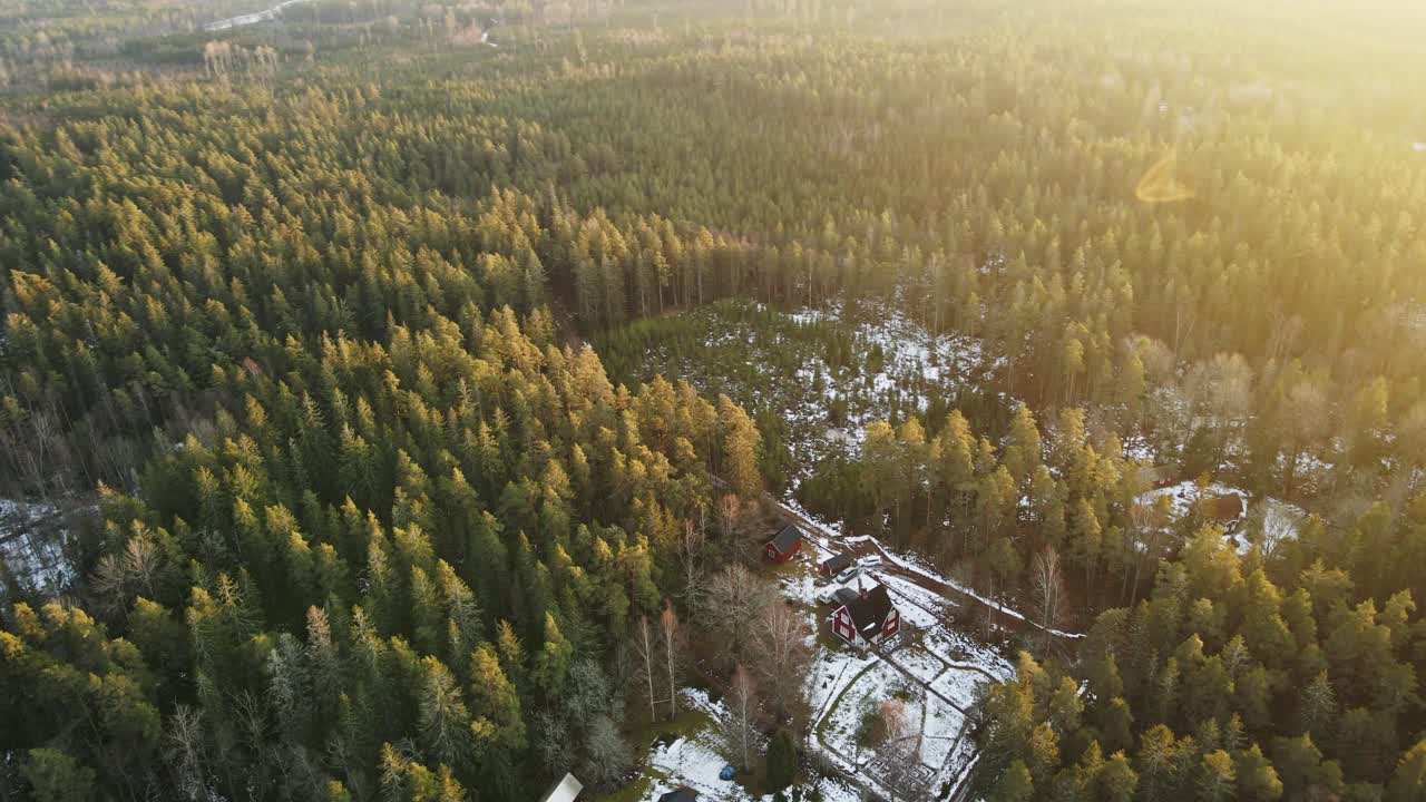 Beautiful aerial of a large forest with small red cabins in the Swedish countryside on a sunny winterday