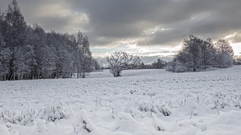 Land-covered-with-white-snow-in-the-wilderness,-day-with-clouds-timelapse