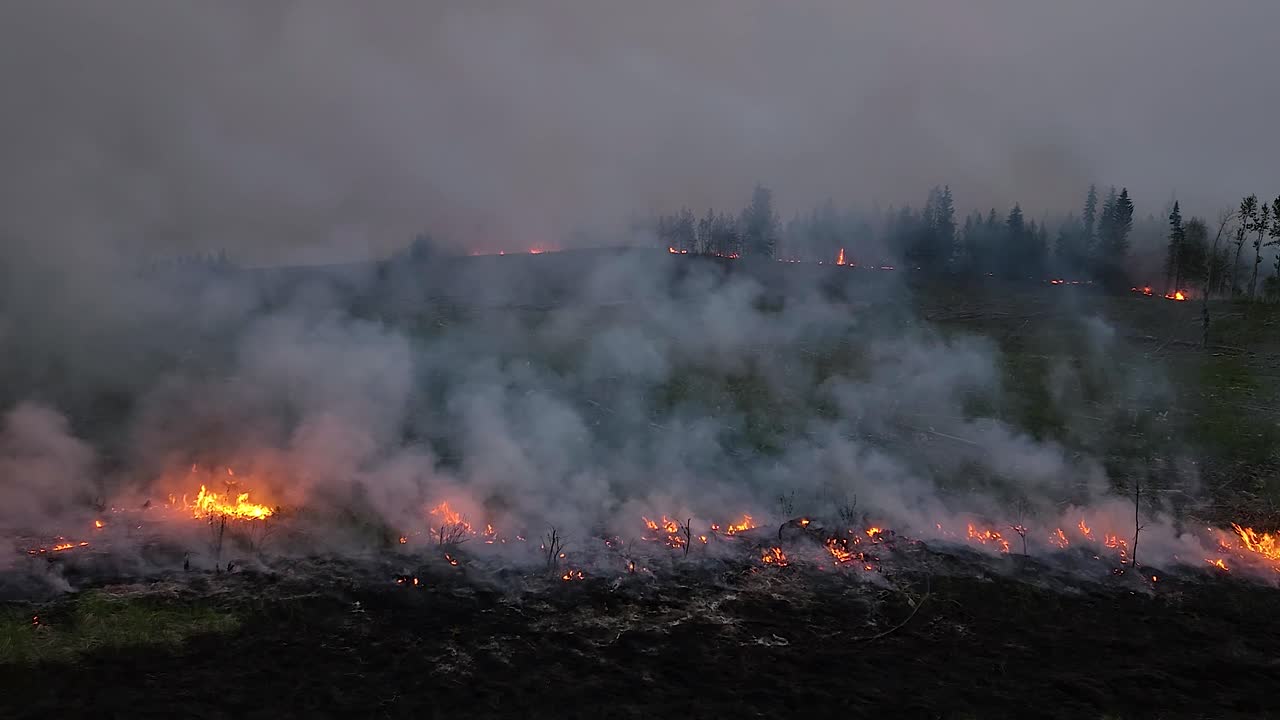 Slow pan across burning field from wildfires, dark, forest in distance, Alberta, Canada