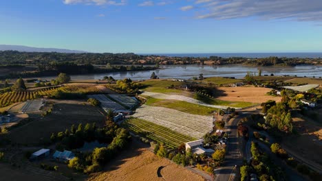 Toma-Aérea-En-órbita-De-Hermosos-Campos-De-Viñedos-Al-Atardecer-En-Nueva-Zelanda