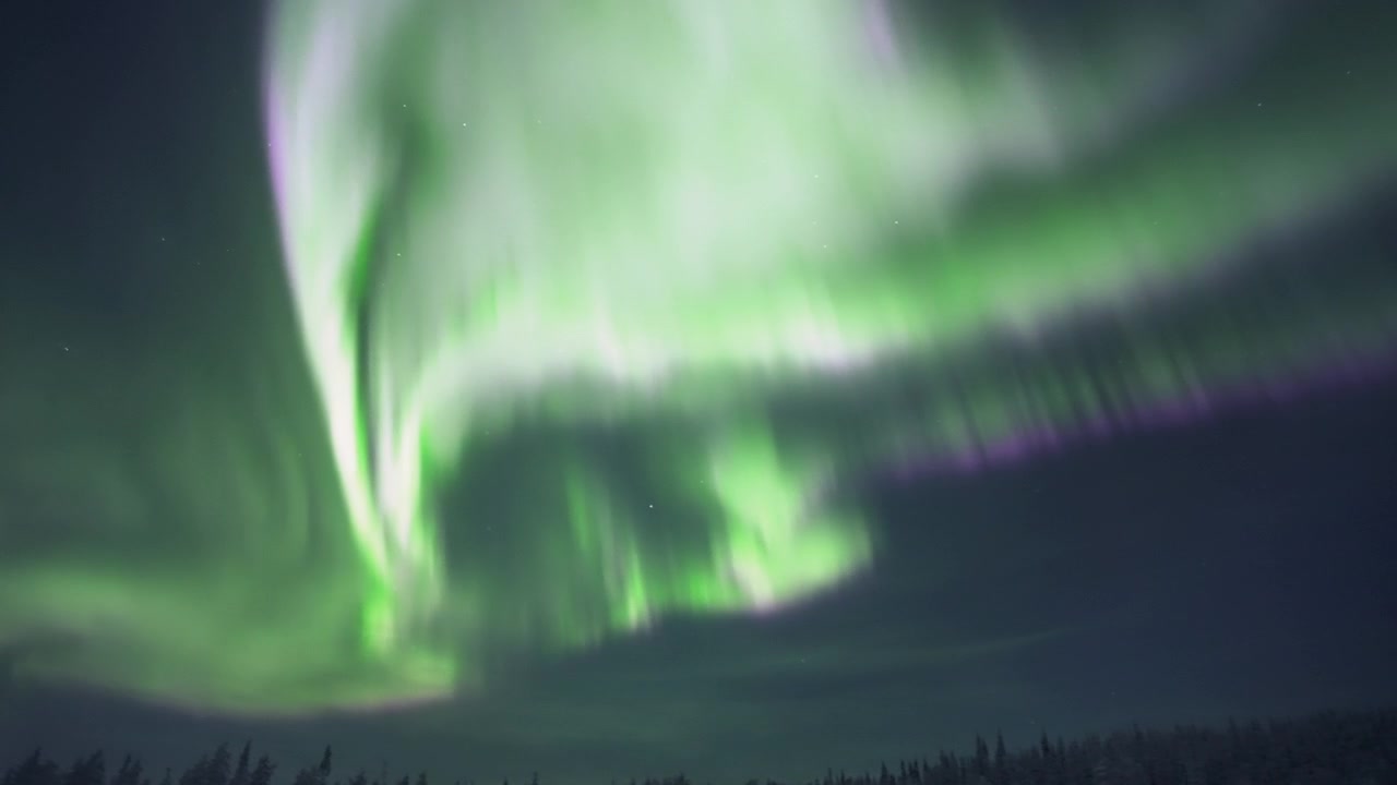 Time-lapse dell'aurora boreale verde e viola vibrante su una foresta