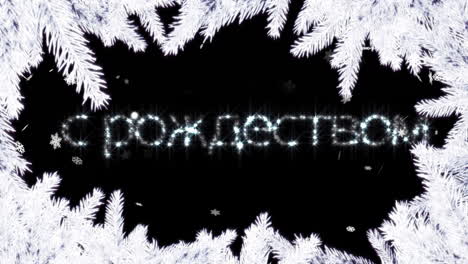 animation of season's greetings text over christmas tree branches on black background