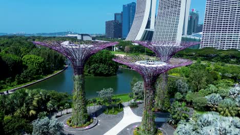 aerial drone landscape of supertree grove vertical gardens by the bay marina bay sands singapore city dragonfly lake asia travel holidays