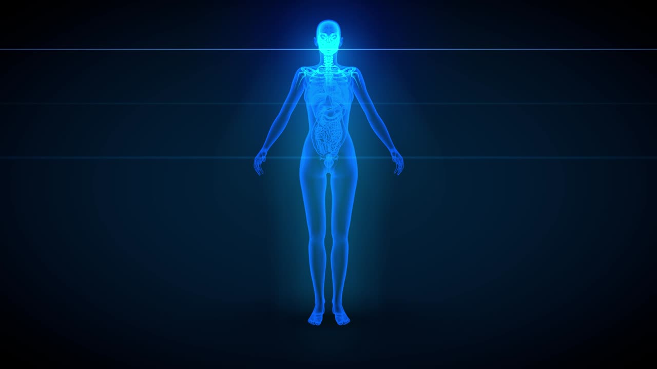 3 diferentes animaciones de bucle 3d sin costuras en 1, cuerpo femenino giratorio - escaneo de rayos x con órganos y esqueleto, 4k 60fps uhd
