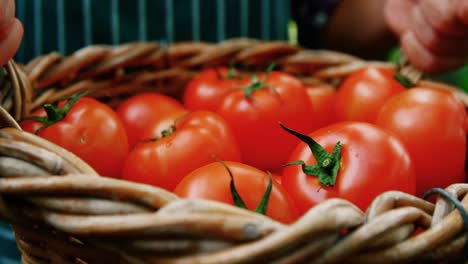 Mann-Hält-Einen-Korb-Mit-Frisch-Geernteten-Tomaten