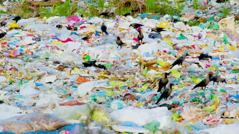 Massive-Umweltverschmutzung,-Als-Krähen-über-Einen-Riesigen-Haufen-Müll-Und-Plastik-Auf-Einer-Mülldeponie-In-Bangladesch-Fliegen