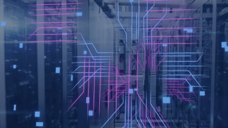 animación de placas de circuitos y procesamiento de datos a través de servidores informáticos