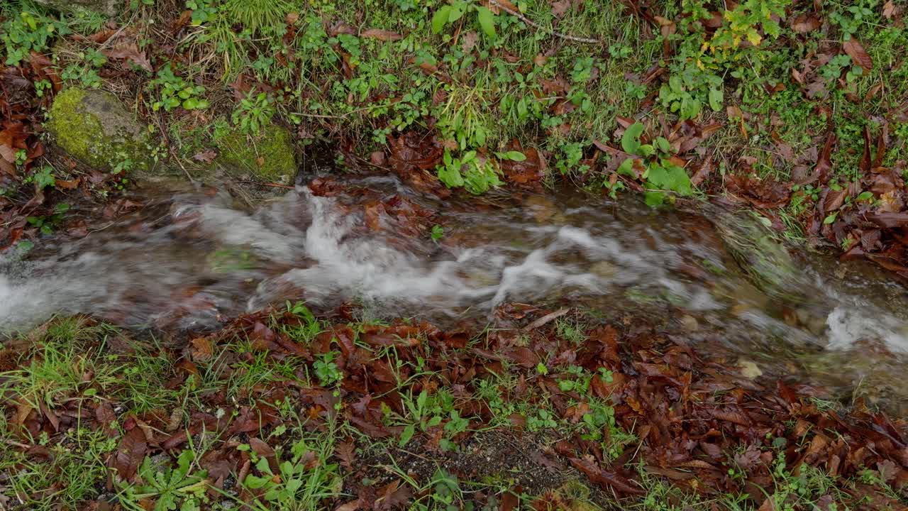 Piccolo ruscello che scorre attraverso un sentiero circondato da erba, rocce e foglie.