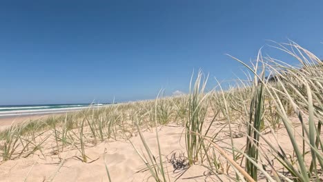 progresión de las dunas de la playa bajo un cielo despejado
