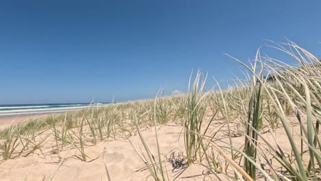 progression of beach dunes under a clear sky