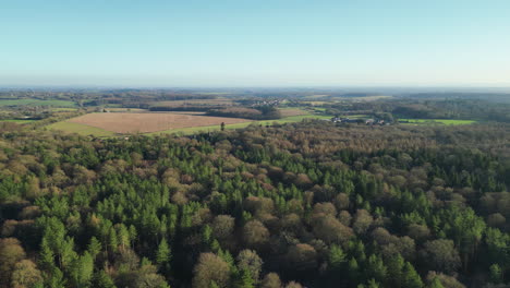 Sideways-pan-of-forest-canopy-in-the-British-countryside