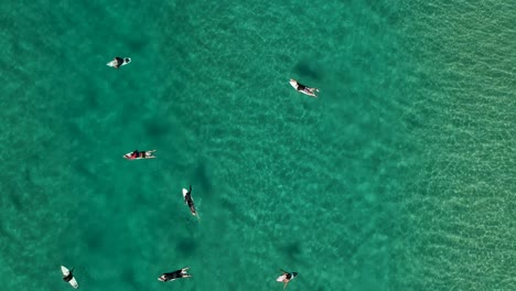 Vista-Alta-De-Los-Surfistas-Sentados-En-El-Océano-Y-Montando-Olas