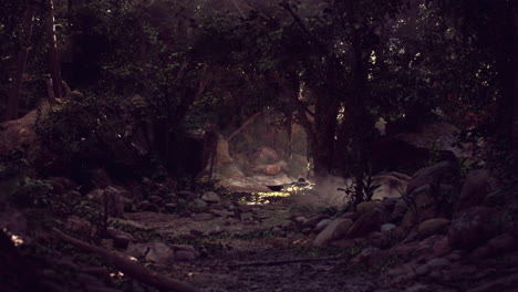 camino misterioso en un bosque profundo