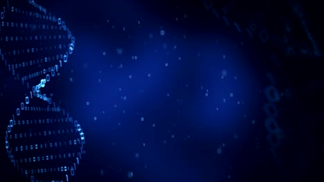 estructura del adn (bucle)
