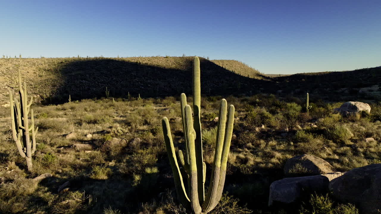 imágenes de drones volando lentamente en el desierto de sonora