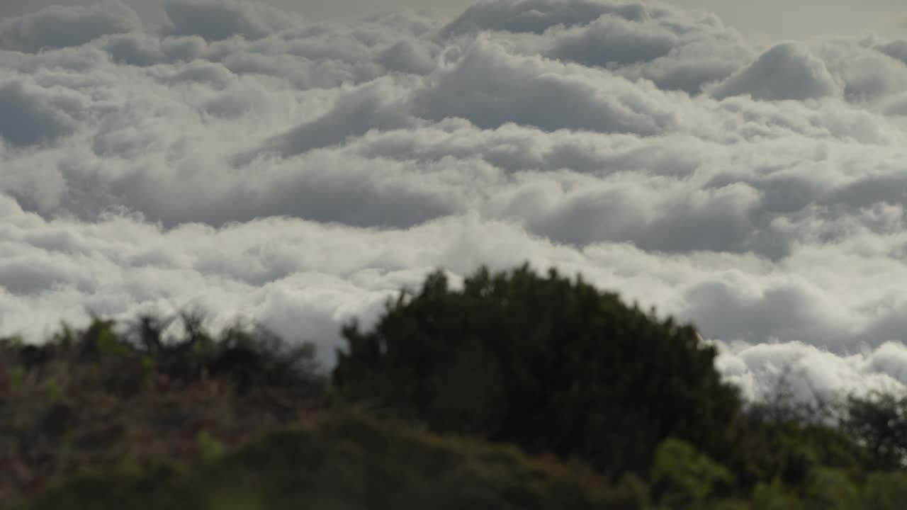 el lapso de tiempo de las nubes esponjosas en movimiento, visto desde la colina arbustiva de maui