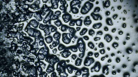 melting ice frost on glass under microscope