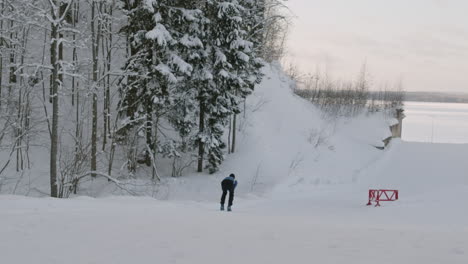 skiing in a snowy forest