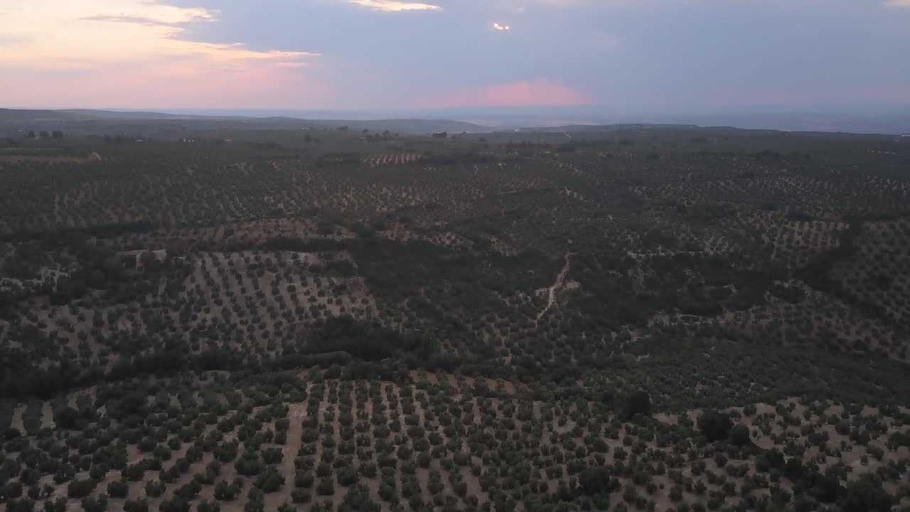 vista aérea de una casa de campo tradicional española rodeada de olivos