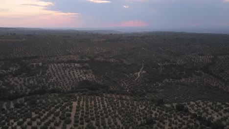 Vista-Aérea-De-Una-Casa-De-Campo-Tradicional-Española-Rodeada-De-Olivos