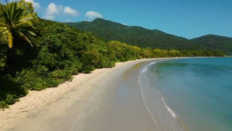 cape tribulation tropical daintree rainforest beach, australia