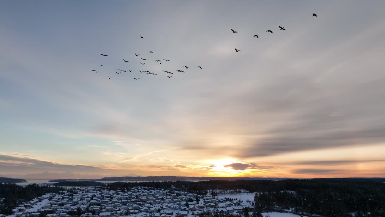 겨울을 나기 위해 남쪽으로 이동하는 새들의 조감도