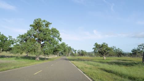 Ultra-slow-motion-shot-from-car-perspective-driving-on-road-through-beautiful-park-in-California