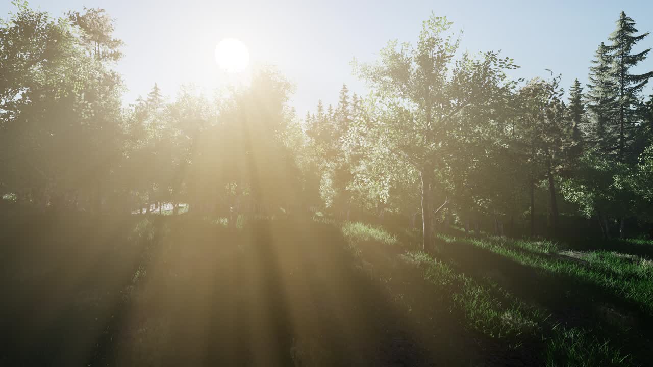 건강 한 숲 에 있는 초록색 나무 들