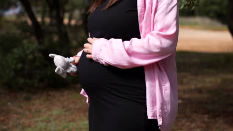 elephant rattle being shaked by a woman by her pregnant belly