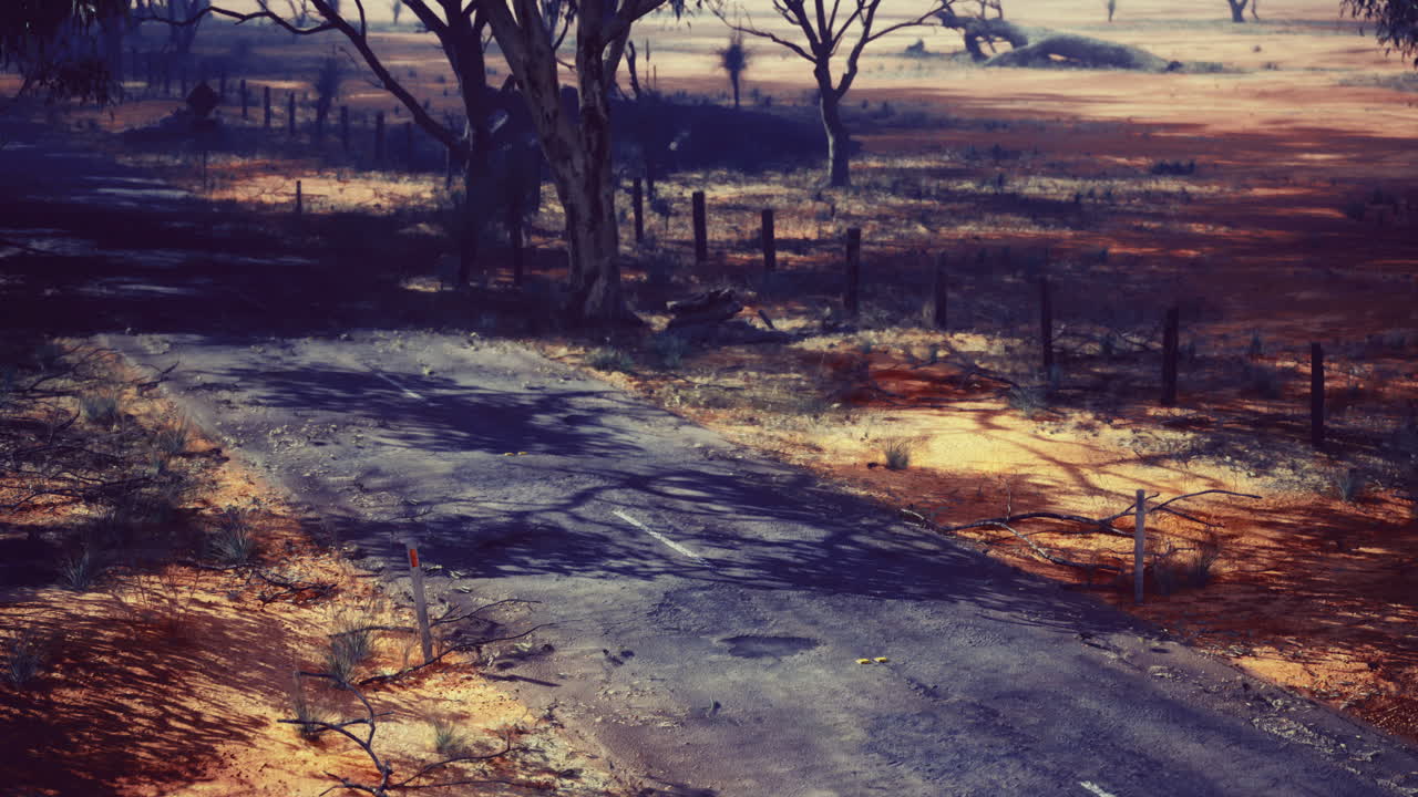 Beautiful rural road stretches through dry landscape in afternoon light