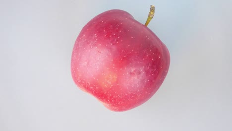 la manzana roja gira en un círculo. fruta. cosecha. video.