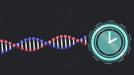Animation-of-dna-strand-and-clock-on-black-background