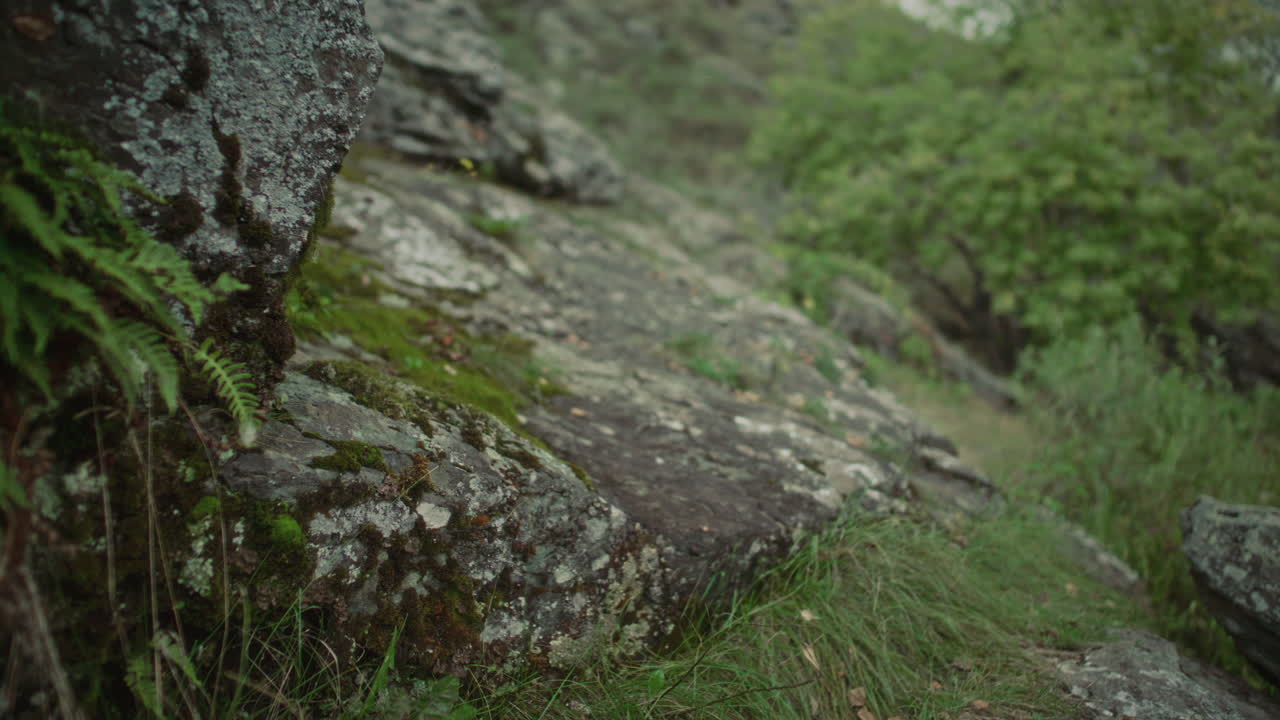 Tourist with Backpack Hiking Up Rocky Hill in Forest